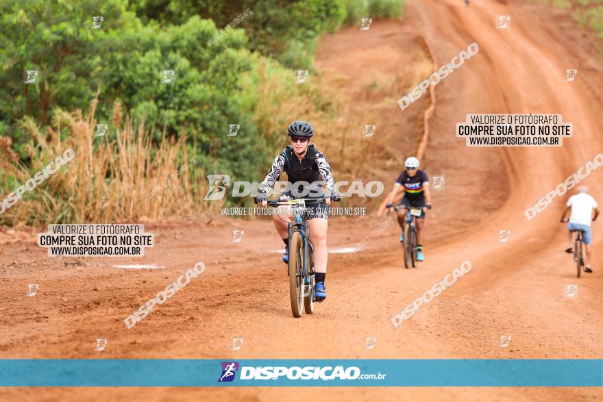 1ª EDIÇÃO DESAFIO ABELHA GRANDE - XCM