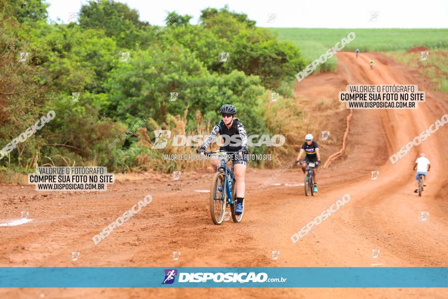 1ª EDIÇÃO DESAFIO ABELHA GRANDE - XCM