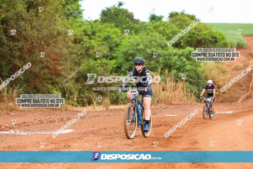 1ª EDIÇÃO DESAFIO ABELHA GRANDE - XCM