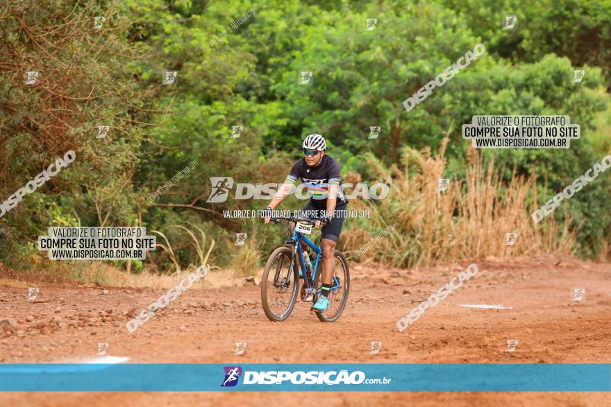 1ª EDIÇÃO DESAFIO ABELHA GRANDE - XCM