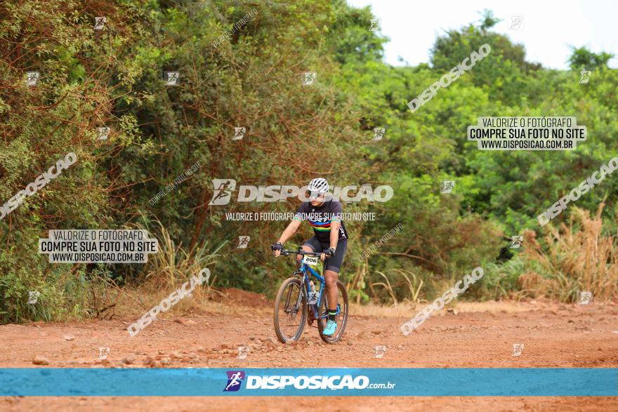 1ª EDIÇÃO DESAFIO ABELHA GRANDE - XCM