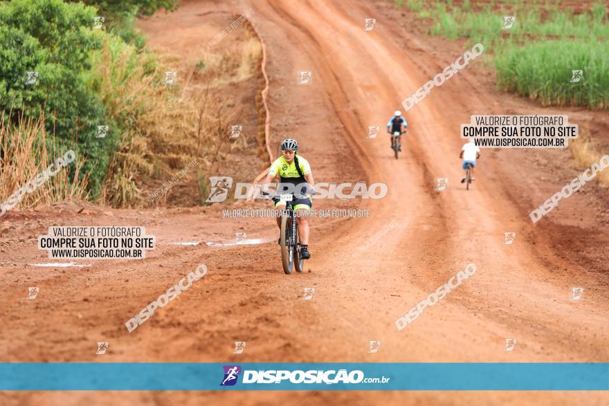 1ª EDIÇÃO DESAFIO ABELHA GRANDE - XCM