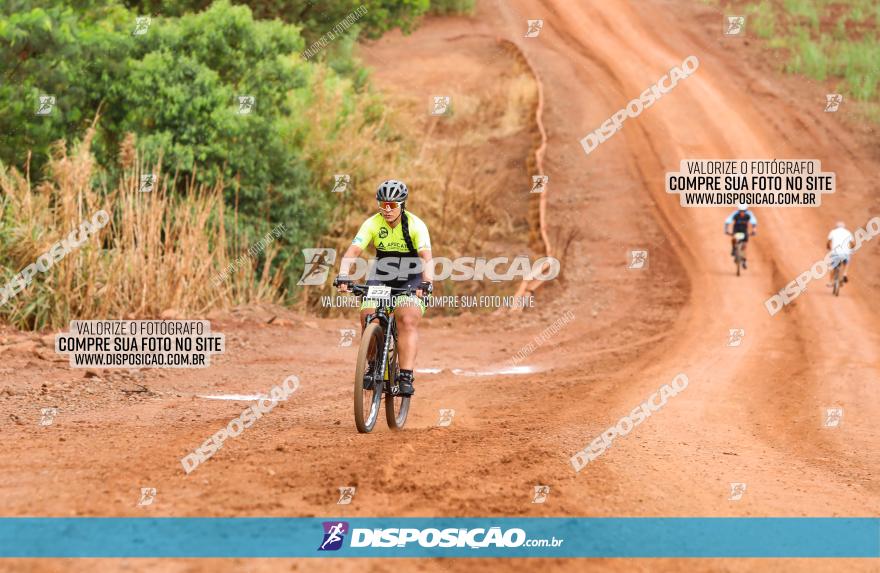 1ª EDIÇÃO DESAFIO ABELHA GRANDE - XCM