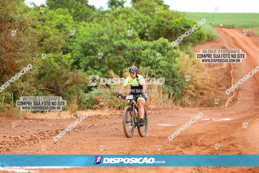 1ª EDIÇÃO DESAFIO ABELHA GRANDE - XCM