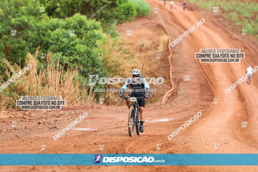 1ª EDIÇÃO DESAFIO ABELHA GRANDE - XCM