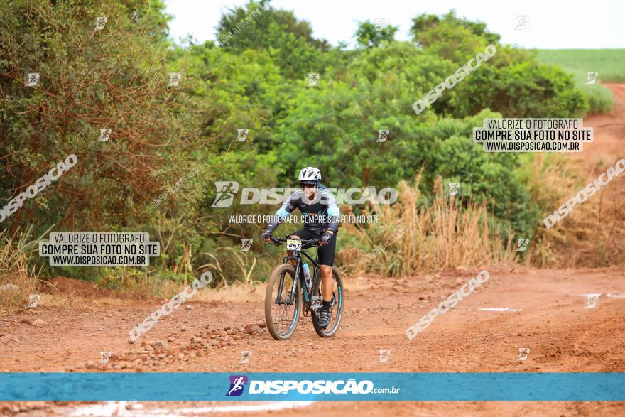 1ª EDIÇÃO DESAFIO ABELHA GRANDE - XCM