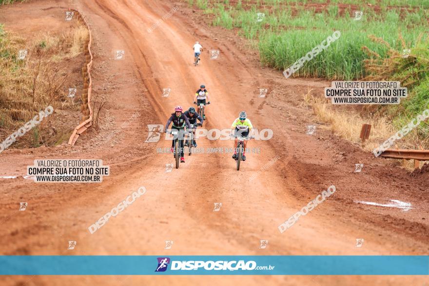 1ª EDIÇÃO DESAFIO ABELHA GRANDE - XCM