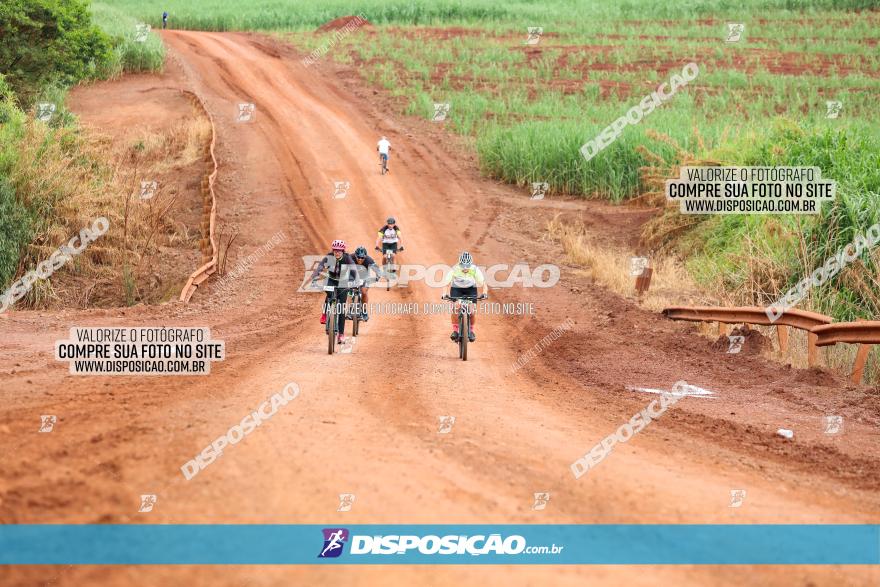 1ª EDIÇÃO DESAFIO ABELHA GRANDE - XCM