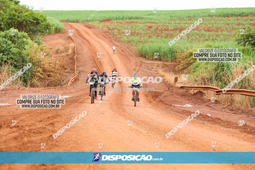 1ª EDIÇÃO DESAFIO ABELHA GRANDE - XCM