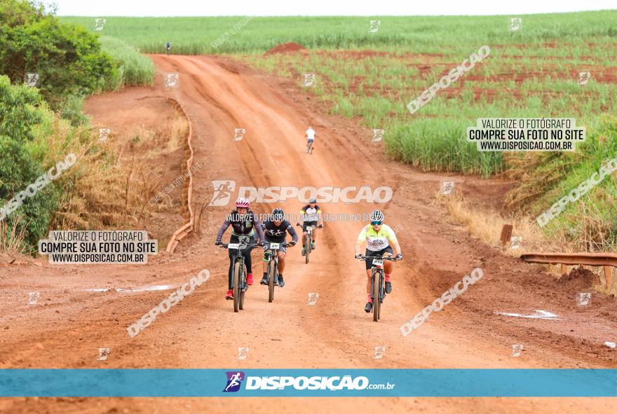 1ª EDIÇÃO DESAFIO ABELHA GRANDE - XCM