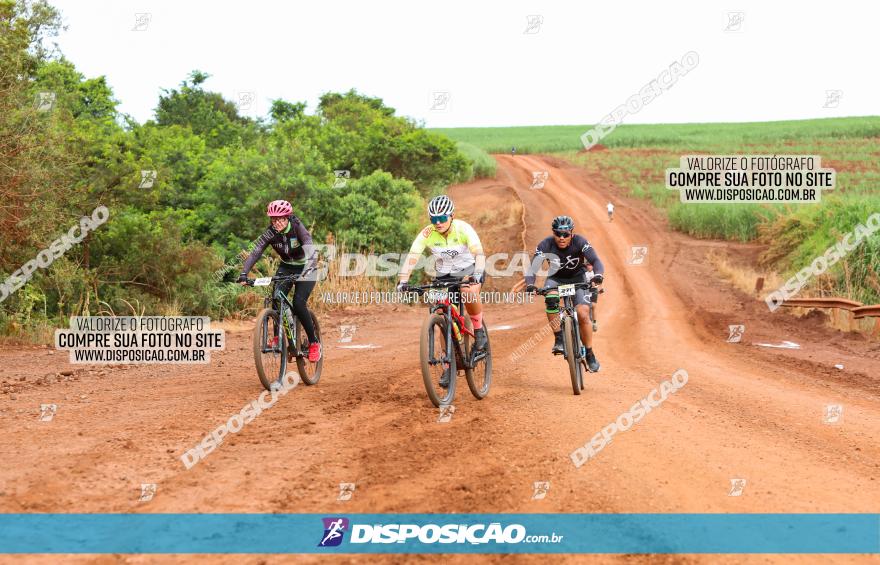 1ª EDIÇÃO DESAFIO ABELHA GRANDE - XCM