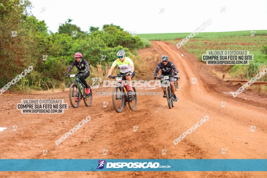 1ª EDIÇÃO DESAFIO ABELHA GRANDE - XCM