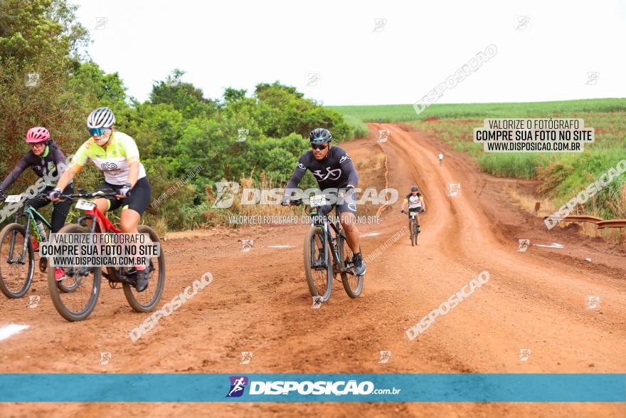 1ª EDIÇÃO DESAFIO ABELHA GRANDE - XCM