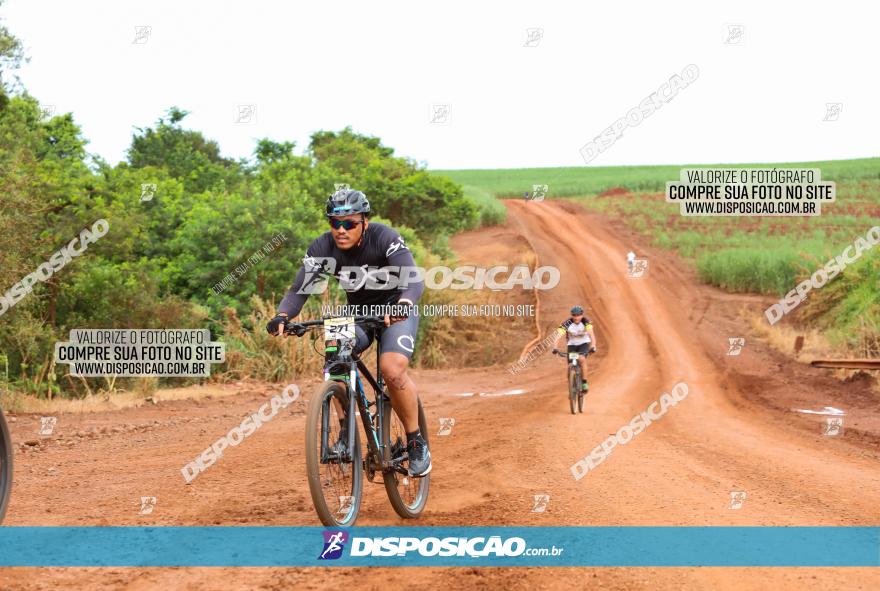 1ª EDIÇÃO DESAFIO ABELHA GRANDE - XCM