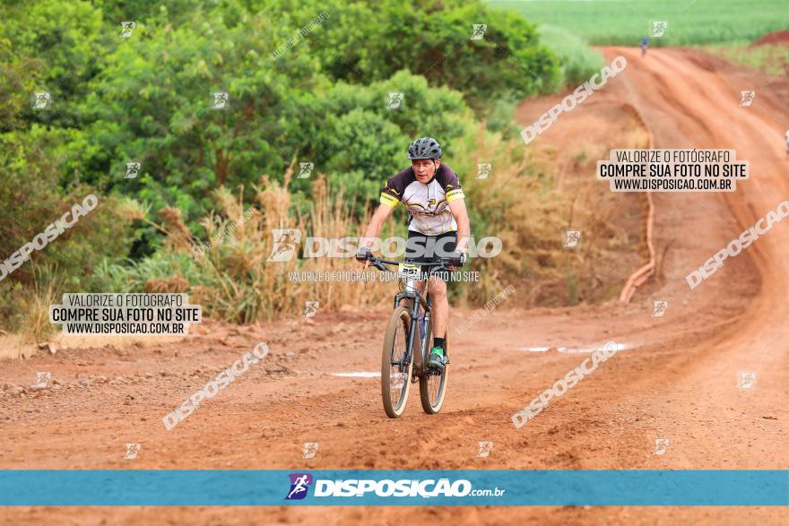 1ª EDIÇÃO DESAFIO ABELHA GRANDE - XCM