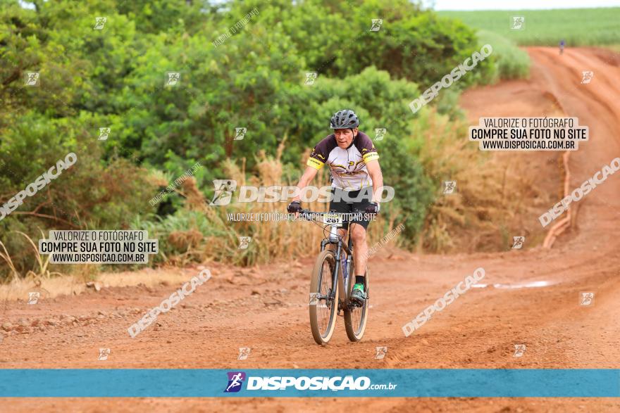 1ª EDIÇÃO DESAFIO ABELHA GRANDE - XCM