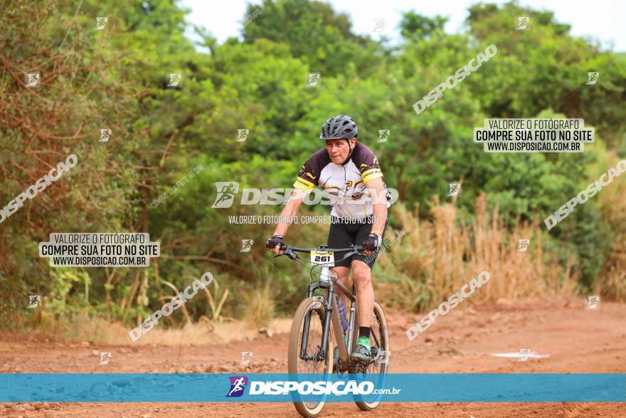 1ª EDIÇÃO DESAFIO ABELHA GRANDE - XCM