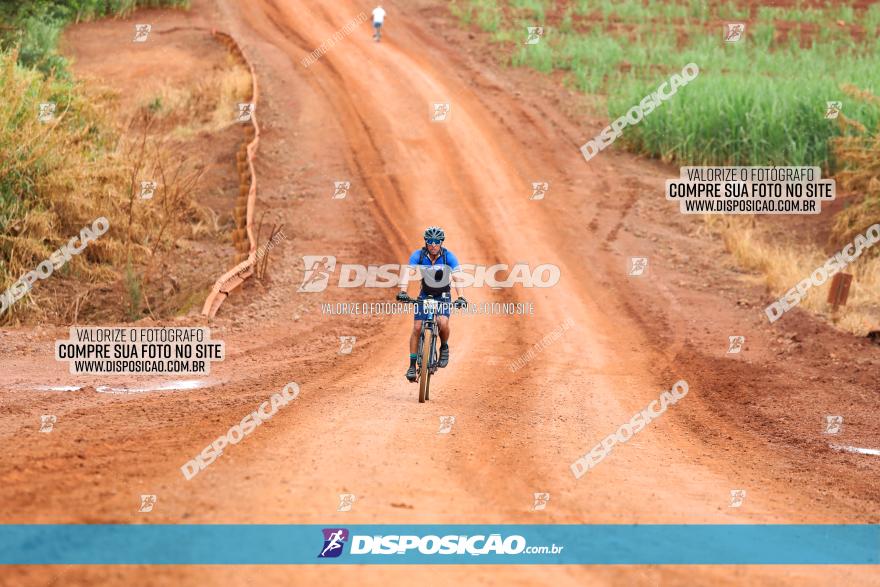 1ª EDIÇÃO DESAFIO ABELHA GRANDE - XCM