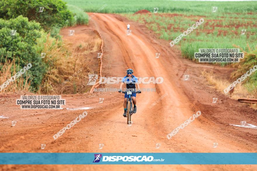 1ª EDIÇÃO DESAFIO ABELHA GRANDE - XCM