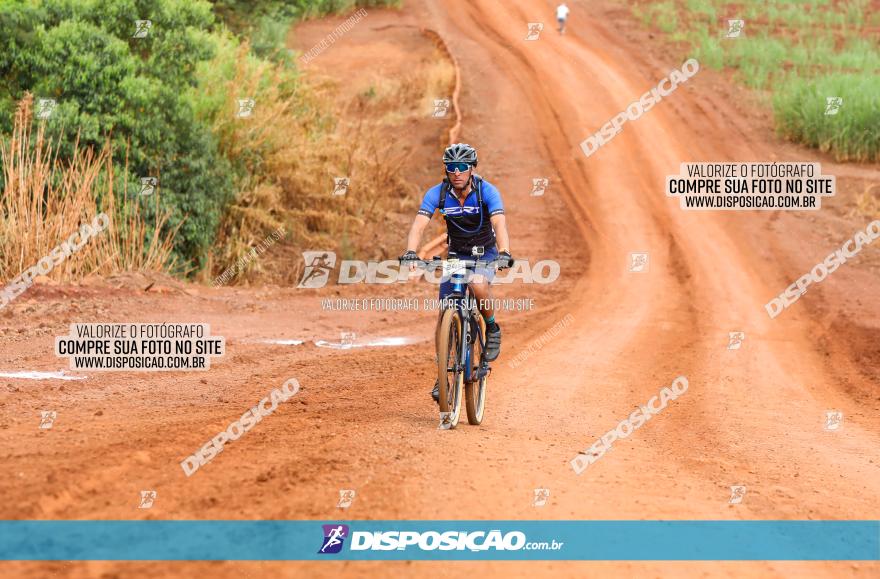 1ª EDIÇÃO DESAFIO ABELHA GRANDE - XCM