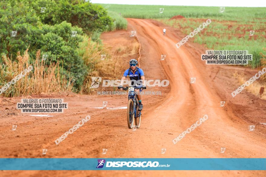 1ª EDIÇÃO DESAFIO ABELHA GRANDE - XCM