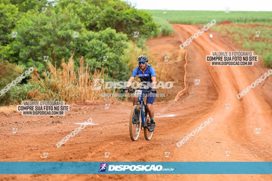 1ª EDIÇÃO DESAFIO ABELHA GRANDE - XCM