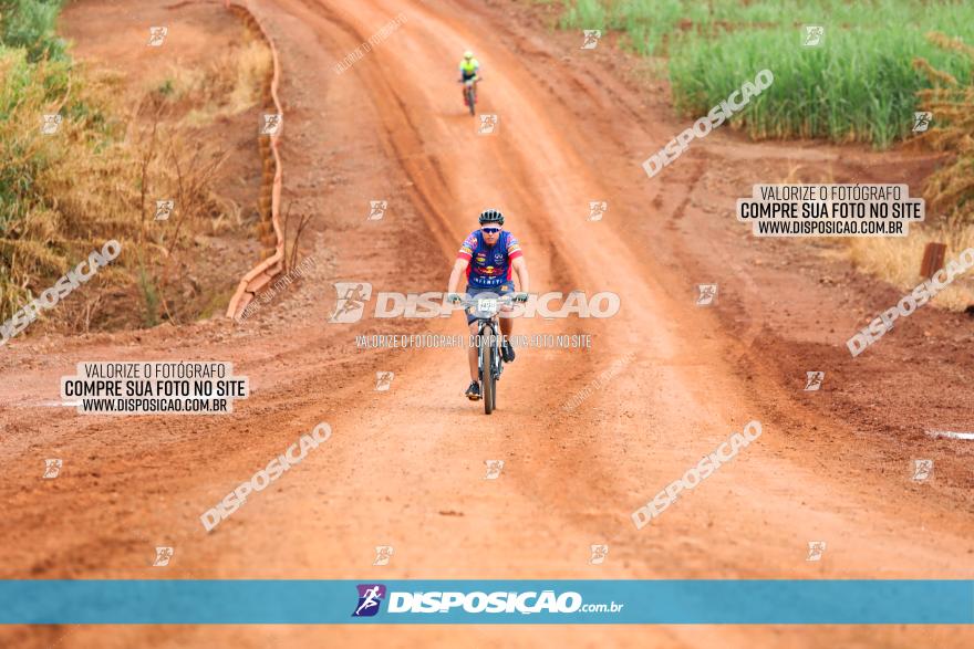 1ª EDIÇÃO DESAFIO ABELHA GRANDE - XCM