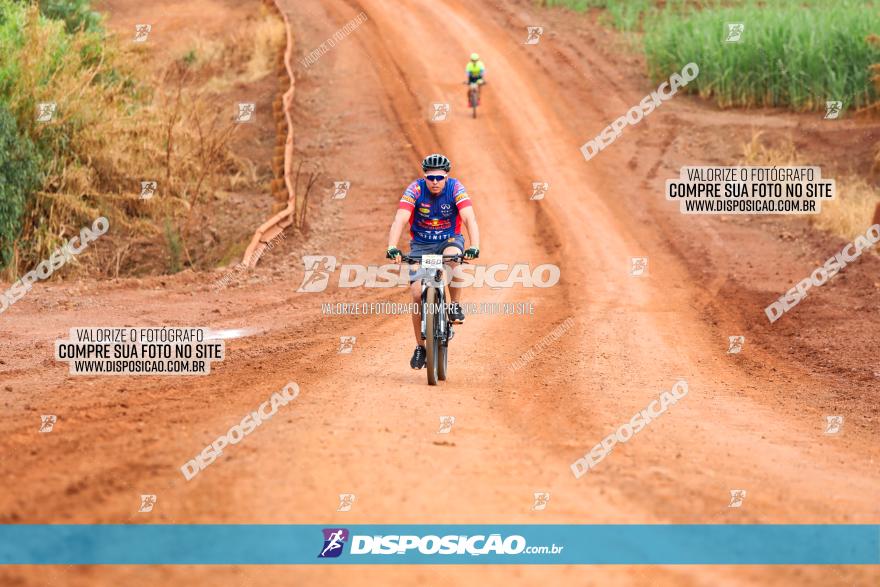 1ª EDIÇÃO DESAFIO ABELHA GRANDE - XCM