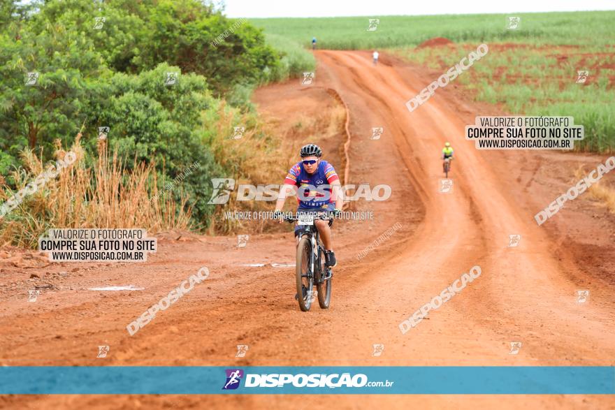 1ª EDIÇÃO DESAFIO ABELHA GRANDE - XCM