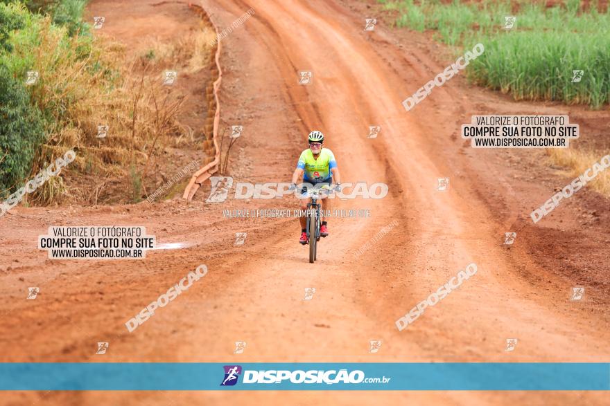 1ª EDIÇÃO DESAFIO ABELHA GRANDE - XCM