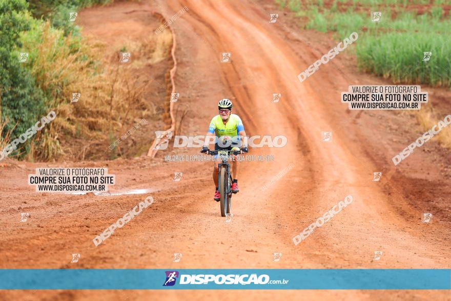 1ª EDIÇÃO DESAFIO ABELHA GRANDE - XCM