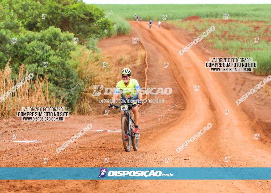 1ª EDIÇÃO DESAFIO ABELHA GRANDE - XCM