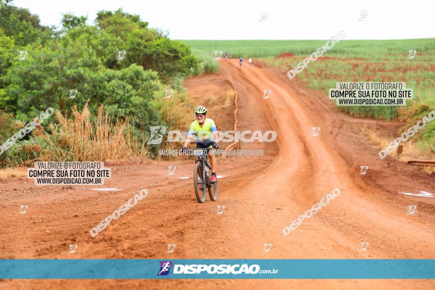 1ª EDIÇÃO DESAFIO ABELHA GRANDE - XCM