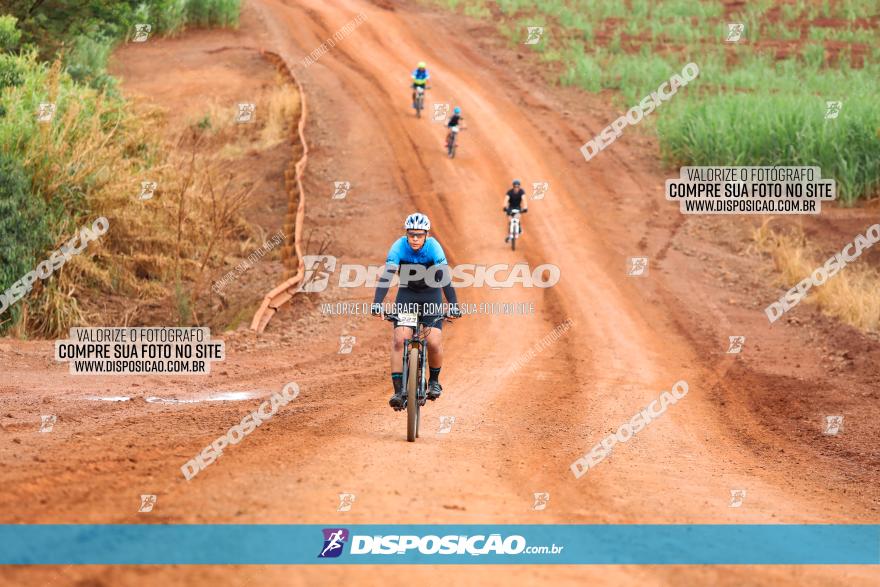 1ª EDIÇÃO DESAFIO ABELHA GRANDE - XCM