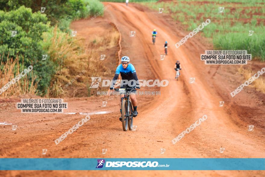 1ª EDIÇÃO DESAFIO ABELHA GRANDE - XCM