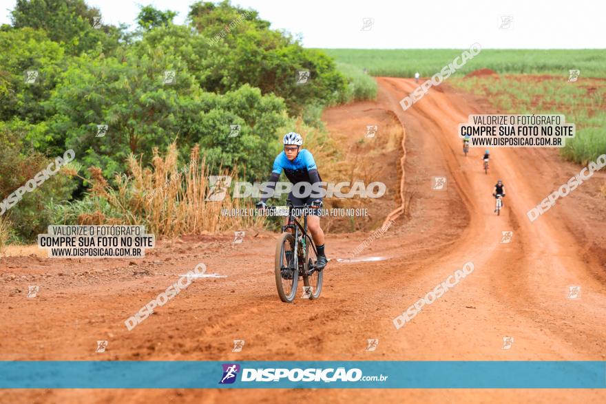 1ª EDIÇÃO DESAFIO ABELHA GRANDE - XCM