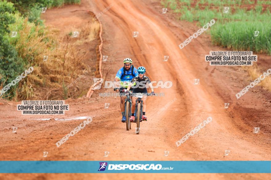 1ª EDIÇÃO DESAFIO ABELHA GRANDE - XCM