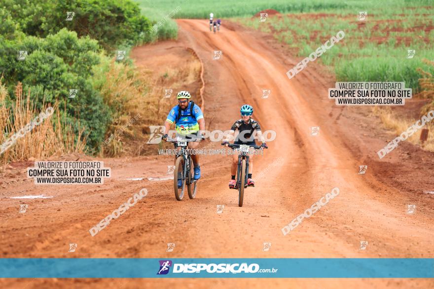 1ª EDIÇÃO DESAFIO ABELHA GRANDE - XCM