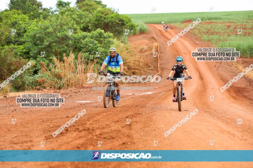 1ª EDIÇÃO DESAFIO ABELHA GRANDE - XCM