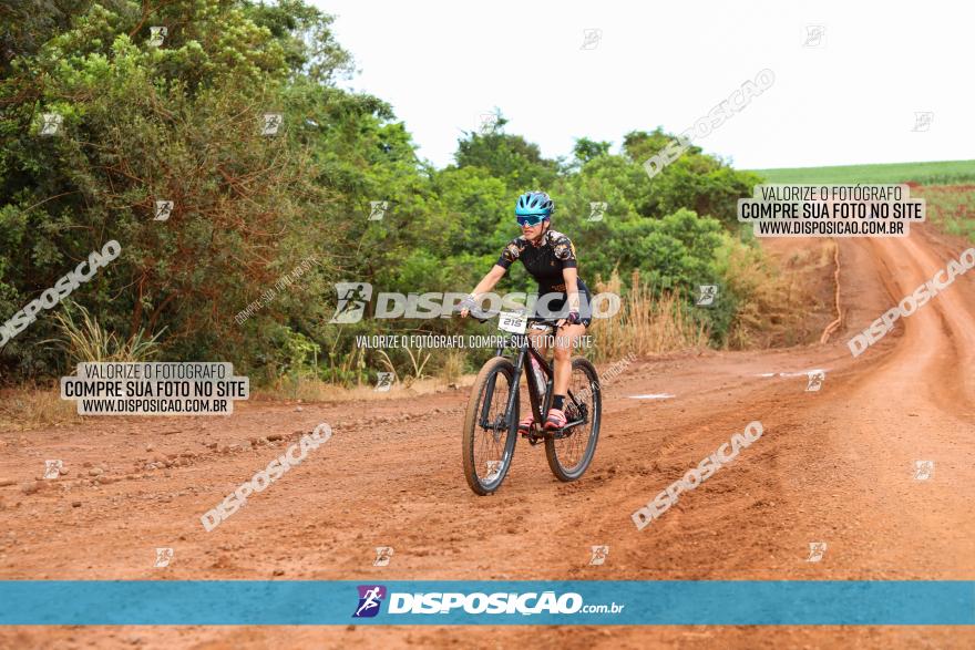 1ª EDIÇÃO DESAFIO ABELHA GRANDE - XCM