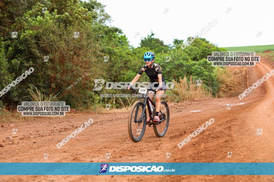 1ª EDIÇÃO DESAFIO ABELHA GRANDE - XCM