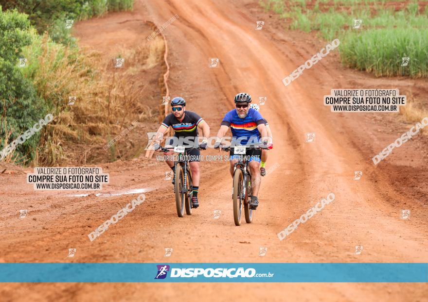 1ª EDIÇÃO DESAFIO ABELHA GRANDE - XCM