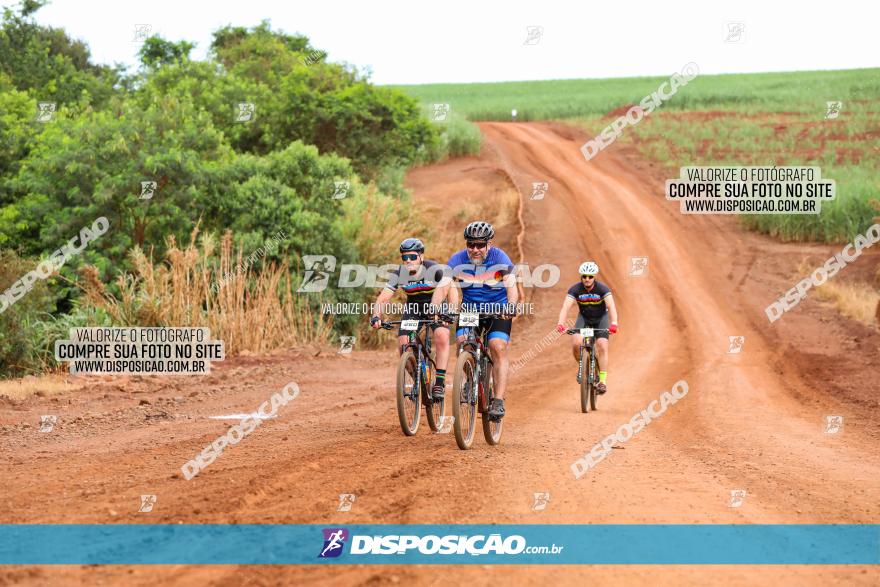 1ª EDIÇÃO DESAFIO ABELHA GRANDE - XCM