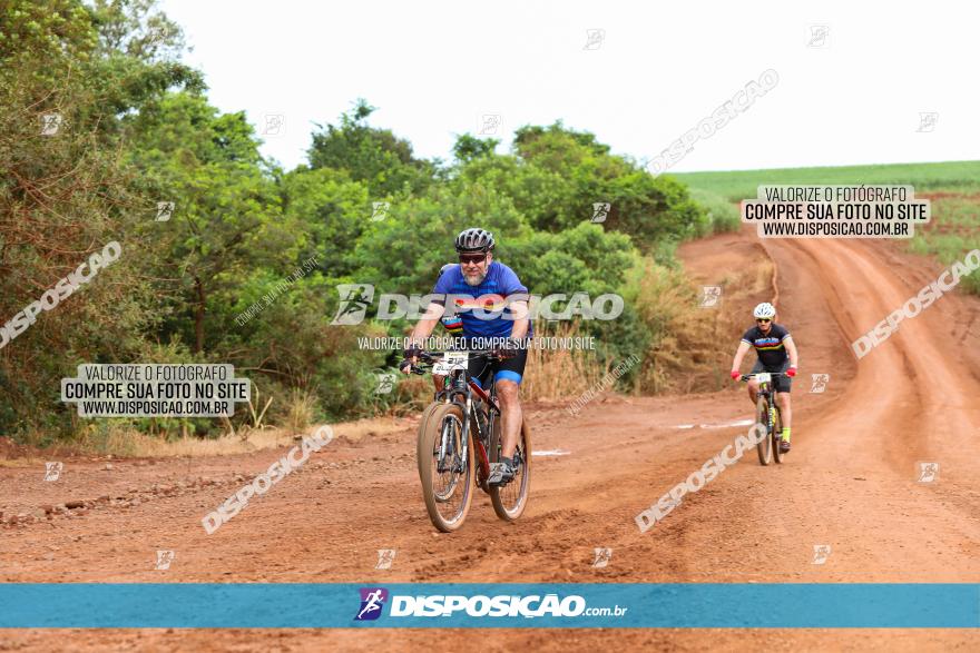 1ª EDIÇÃO DESAFIO ABELHA GRANDE - XCM