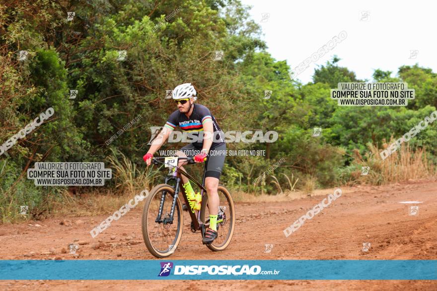 1ª EDIÇÃO DESAFIO ABELHA GRANDE - XCM