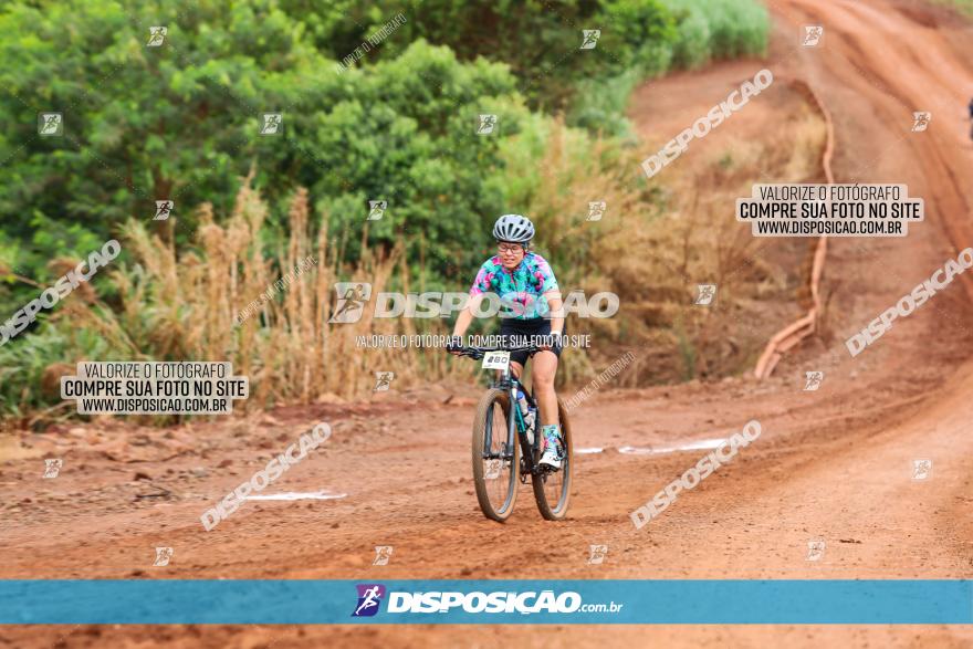 1ª EDIÇÃO DESAFIO ABELHA GRANDE - XCM