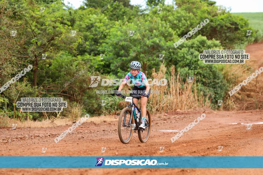 1ª EDIÇÃO DESAFIO ABELHA GRANDE - XCM