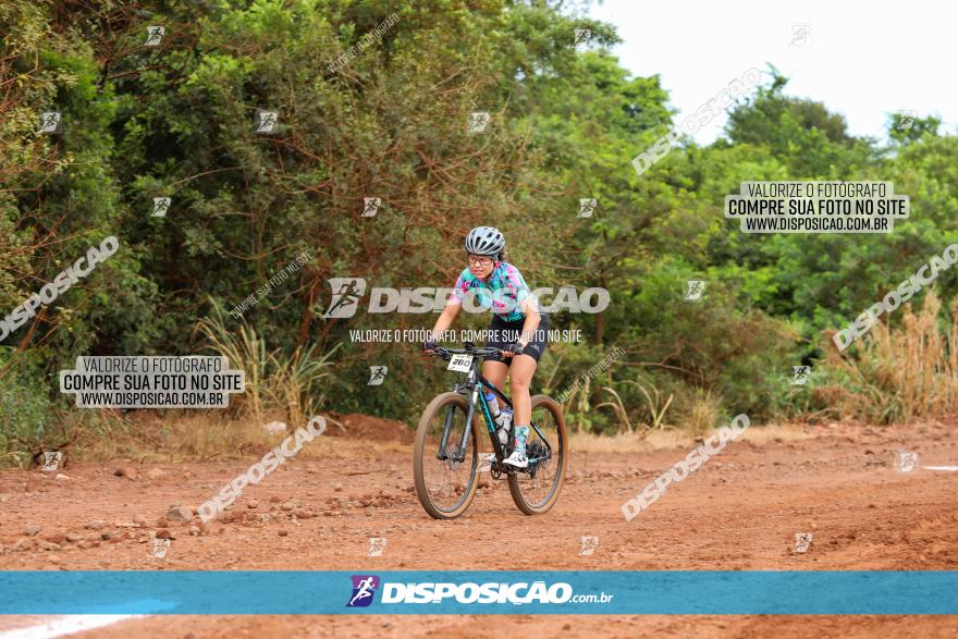 1ª EDIÇÃO DESAFIO ABELHA GRANDE - XCM