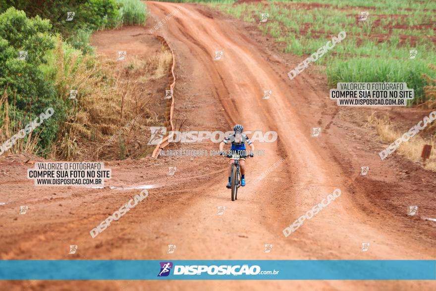 1ª EDIÇÃO DESAFIO ABELHA GRANDE - XCM