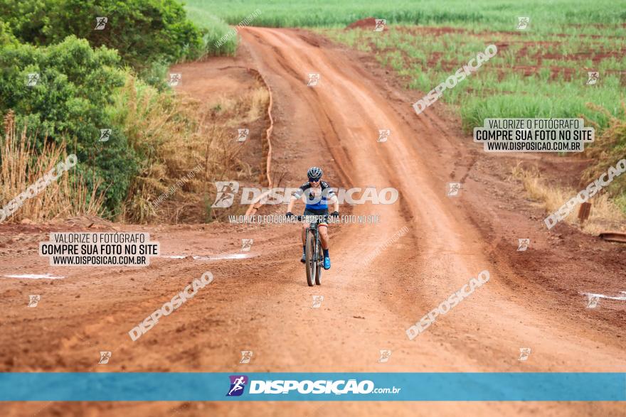 1ª EDIÇÃO DESAFIO ABELHA GRANDE - XCM